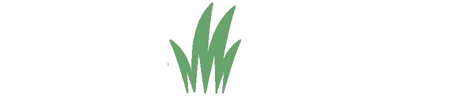 Artificial Grass Johor